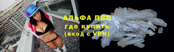 гидра Коряжма