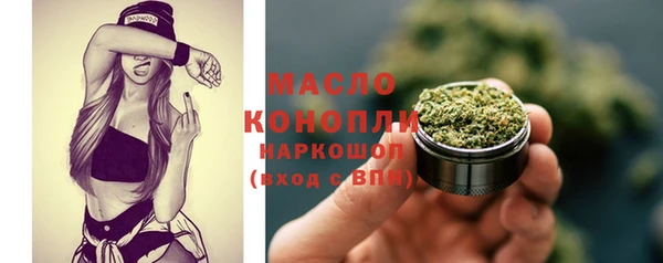 гидра Коряжма