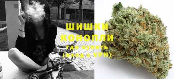 гидра Коряжма