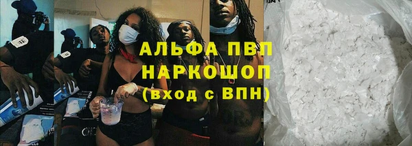 гидра Коряжма