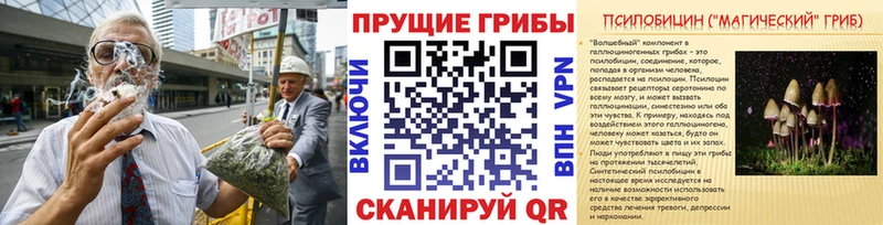 Купить  Вельск  Галлюциногенные грибы MAGIC MUSHROOMS 